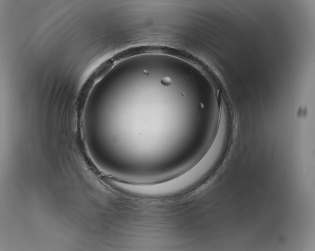 X0000111511069200907141330