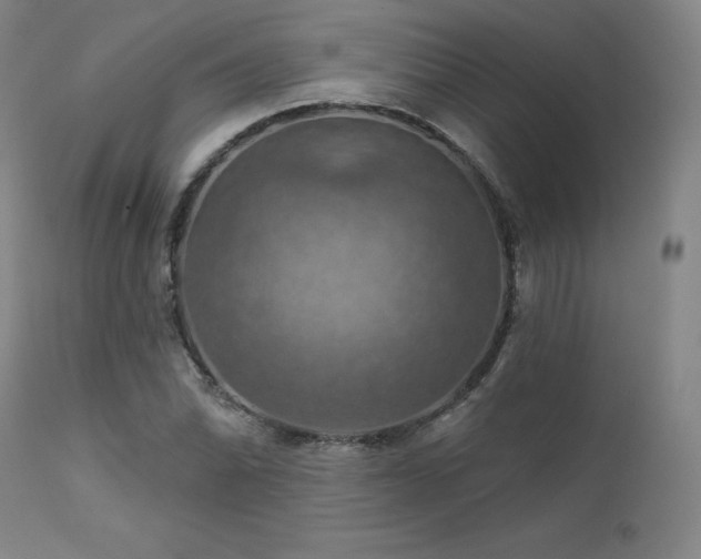X0000111511070200907141330