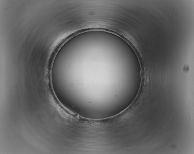 X0000111511072200907141330
