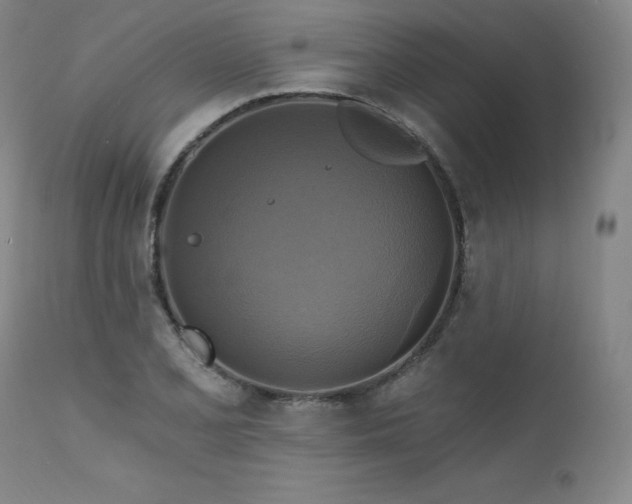 X0000111511077200907141330