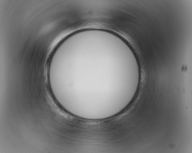 X0000111511078200907141330