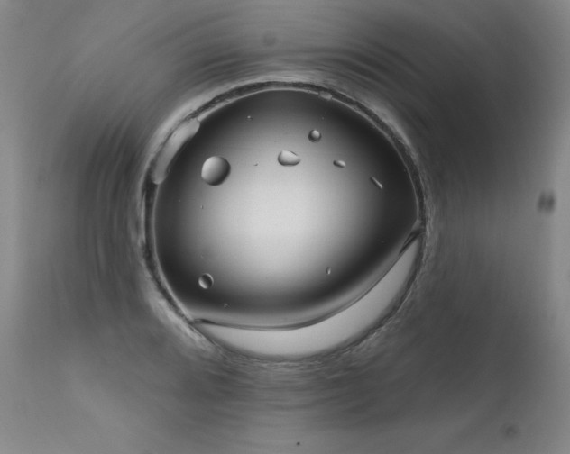 X0000111511080200907141330