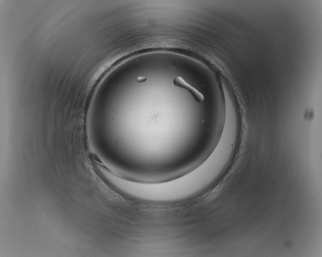 X0000111511081200907141330