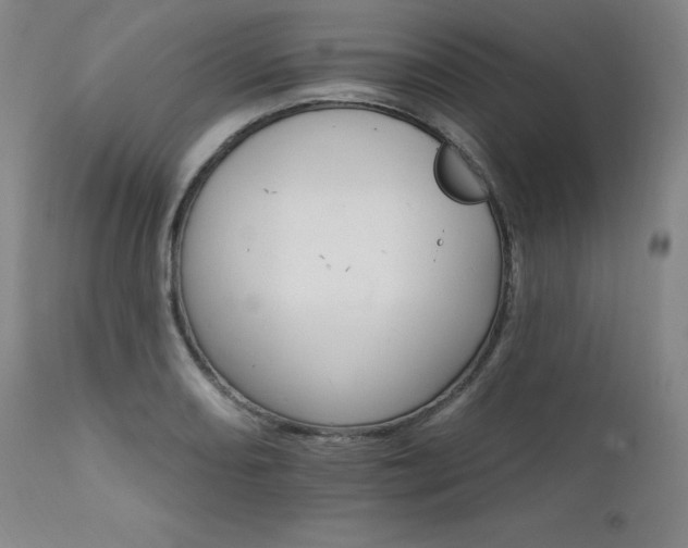 X0000111511082200907141330