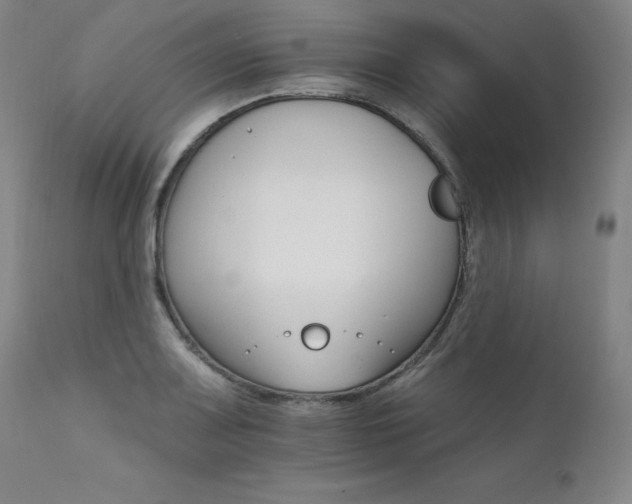 X0000111511083200907141330