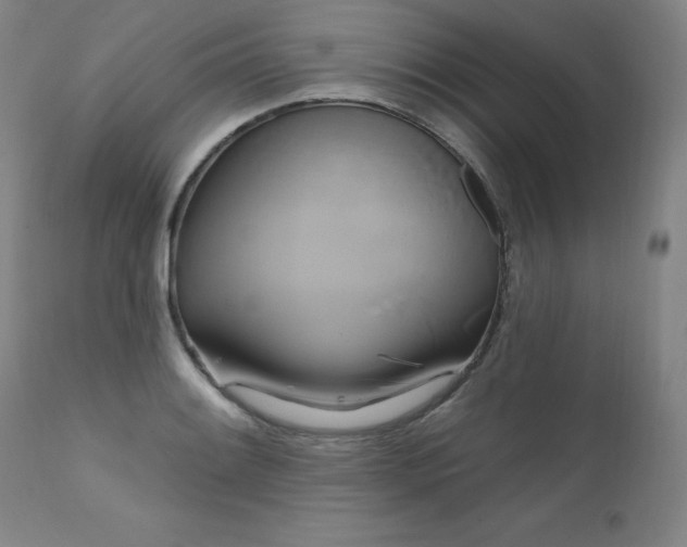 X0000111511084200907141330