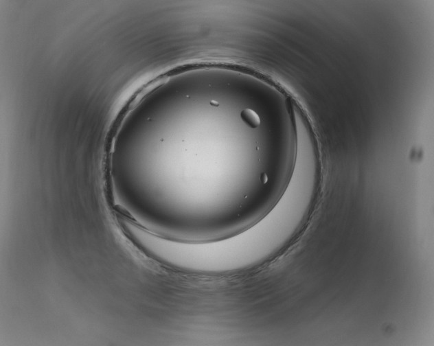 X0000111511085200907141330
