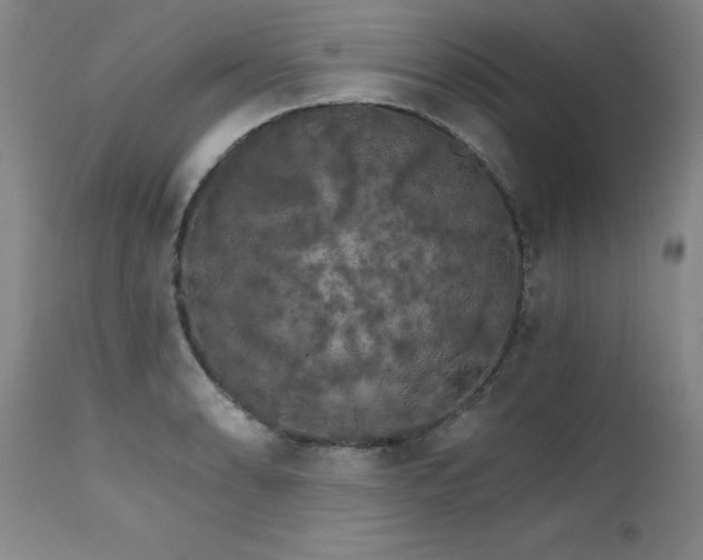 X0000111511086200907141330