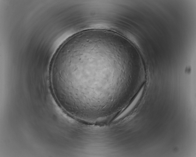 X0000111511087200907141330