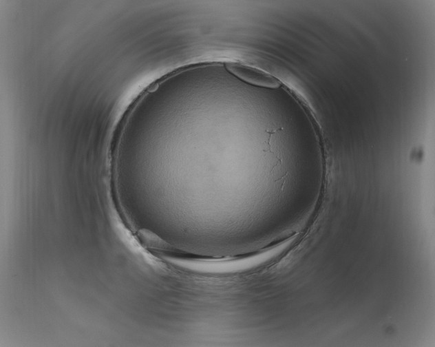 X0000111511088200907141330