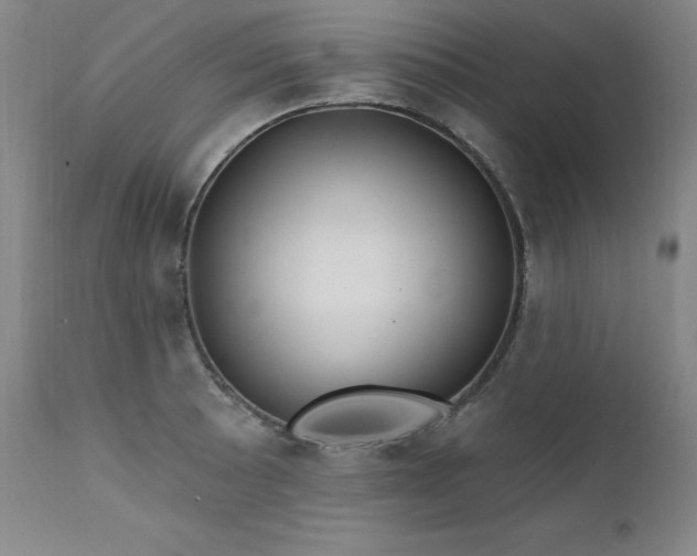 X0000111511089200907141330