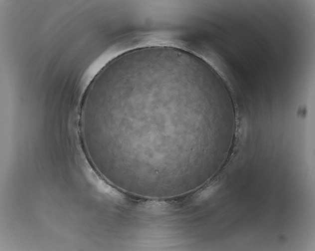 X0000111511094200907141330