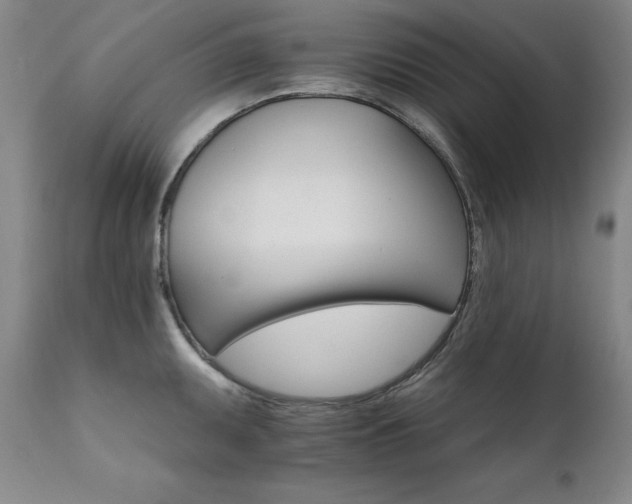 X0000111511095200907141330