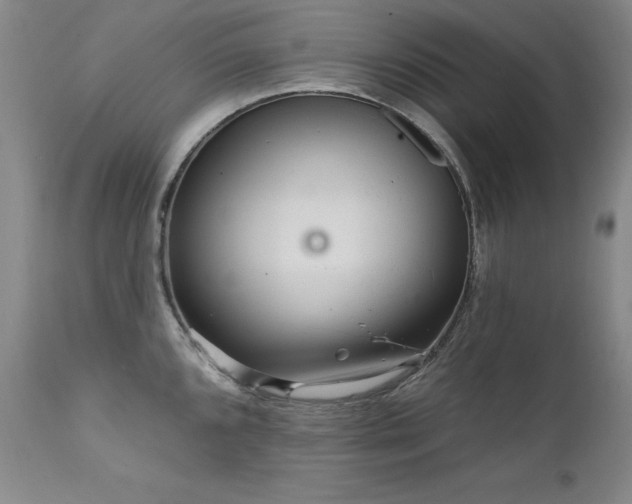 X0000111511096200907141330