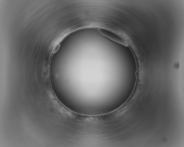 X0000111511097200907141330