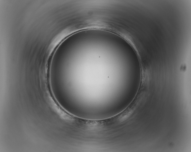 X0000111511099200907141330