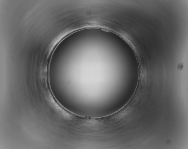 X0000111511100200907141330