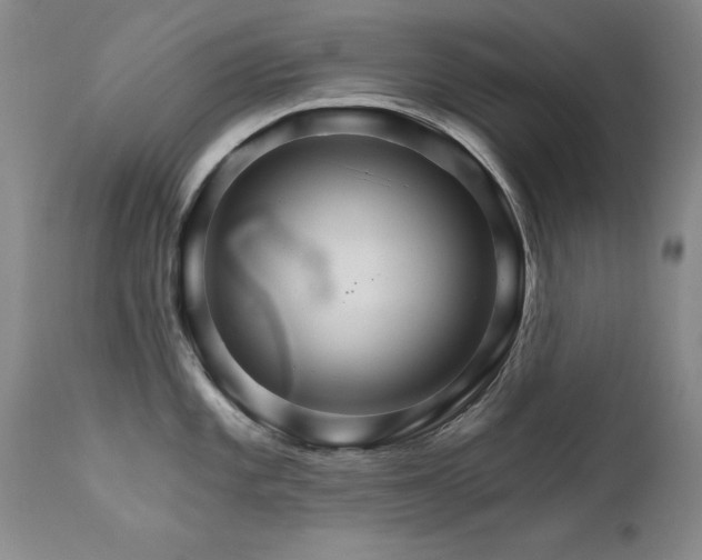 X0000111511101200907141330