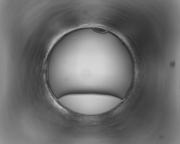 X0000111511102200907141329