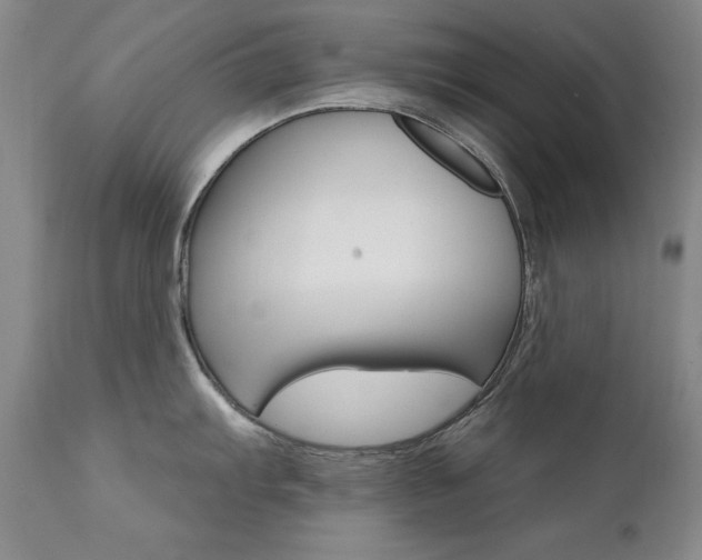 X0000111511103200907141329