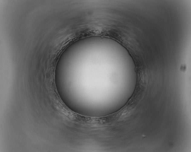 X0000111511105200907141329