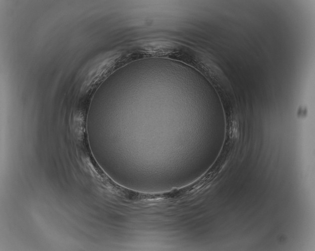 X0000111511108200907141329