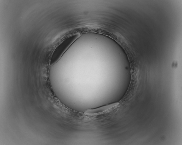X0000111511110200907141329