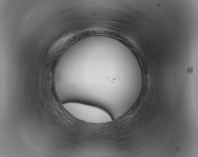 X0000111511111200907141329