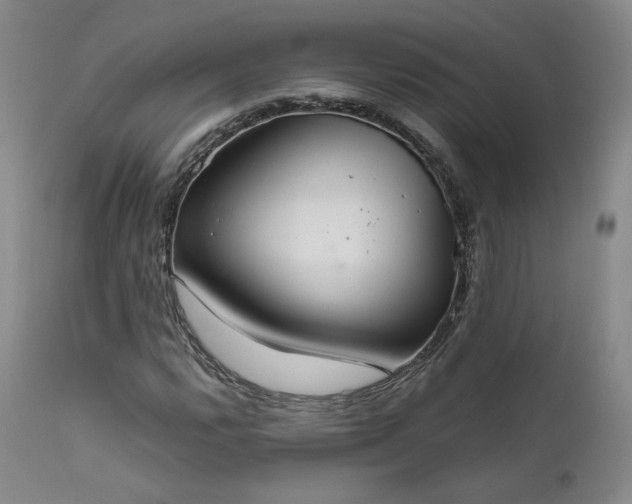X0000111511112200907141329