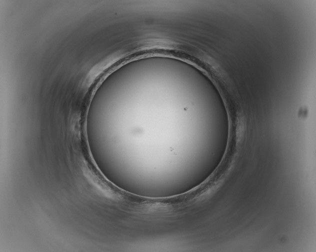 X0000111511113200907141329