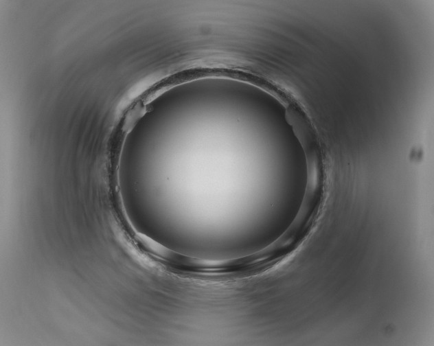 X0000111511114200907141329