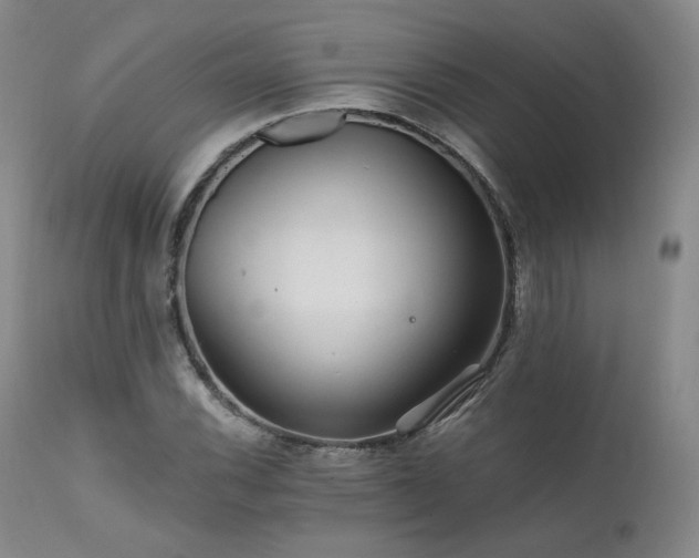 X0000111511116200907141329