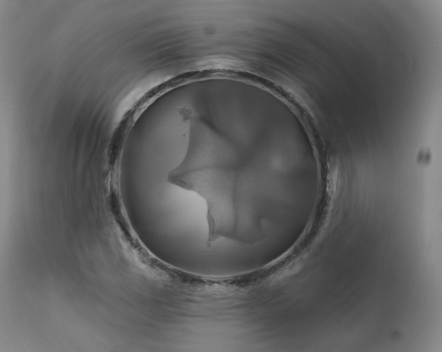 X0000111511117200907141329
