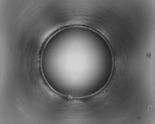 X0000111511119200907141329