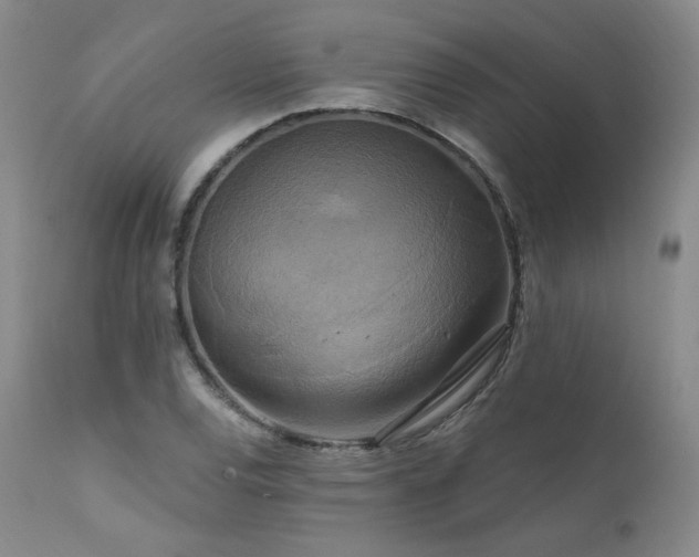 X0000111511120200907141329