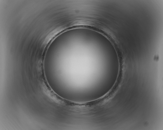 X0000111511121200907141329