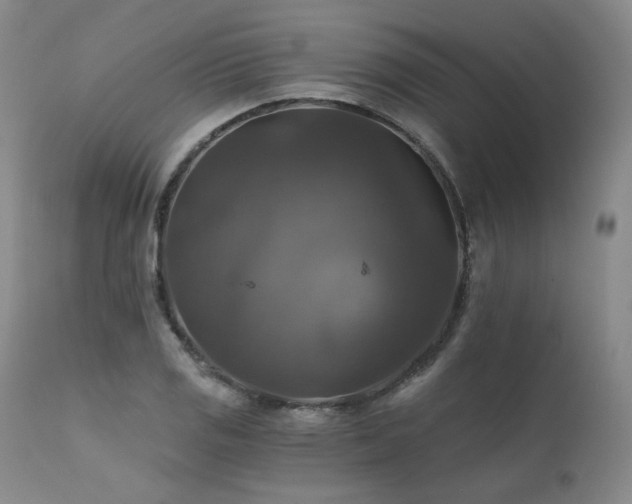 X0000111511125200907141329