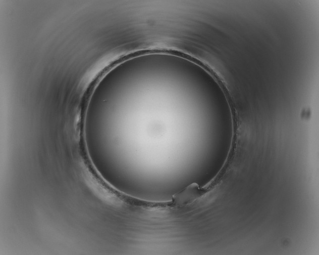 X0000111511126200907141329
