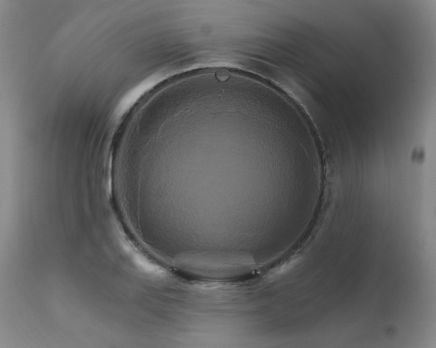 X0000111511127200907141329