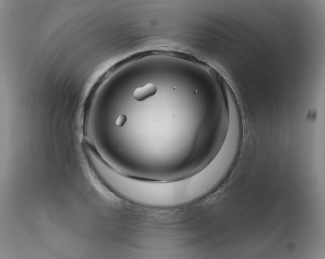 X0000111511128200907141329