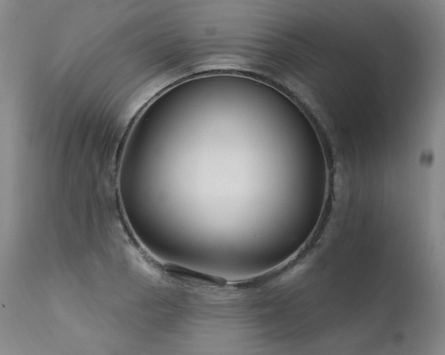 X0000111511129200907141329