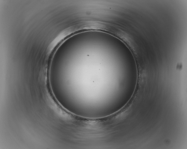 X0000111511130200907141329