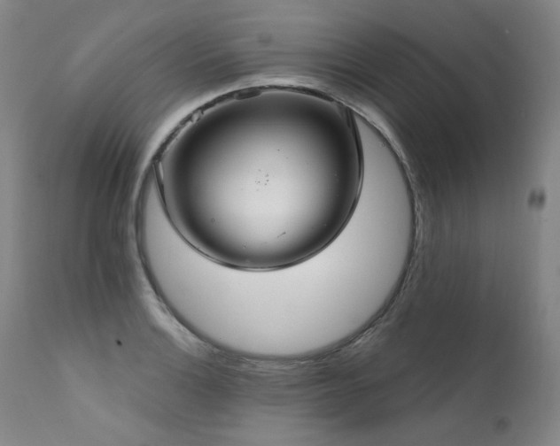 X0000111511132200907141329