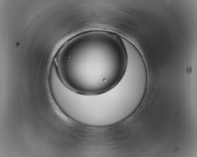 X0000111511136200907141329