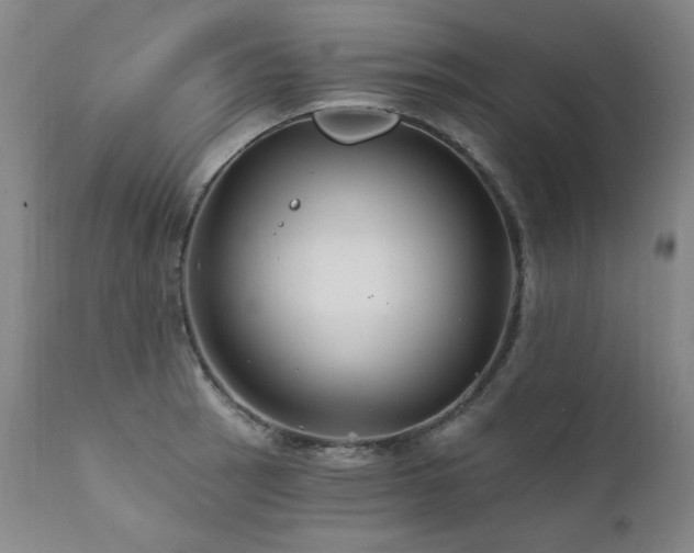 X0000111511137200907141329