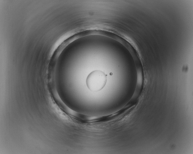 X0000111511138200907141329