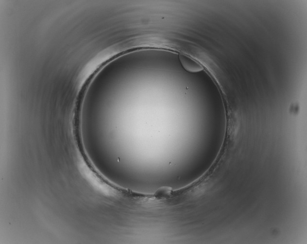 X0000111511139200907141329