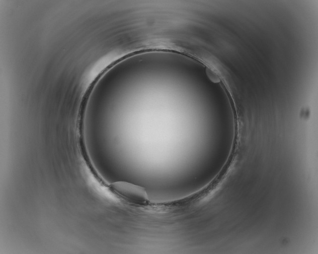 X0000111511141200907141329