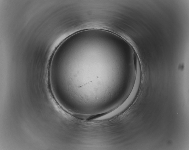 X0000111511144200907141329