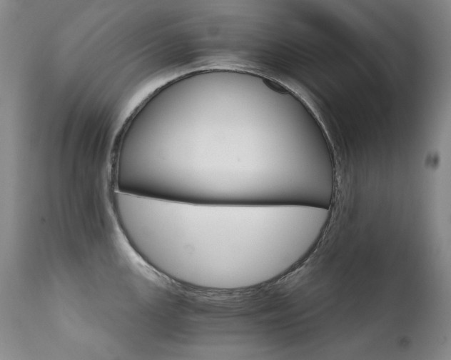 X0000111511147200907141329